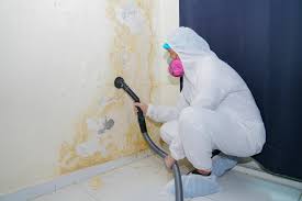 Best Residential Mold Inspection & Testing  in Lyons, GA